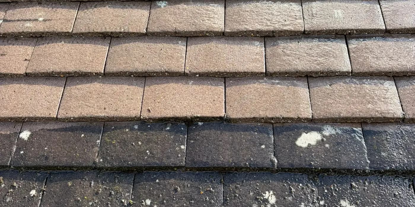 Plain tiles part way through a clean, clean rows above and lichen below